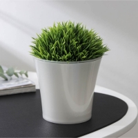 Кашпо для цветов со вставкой &laquo;Арте&raquo;, 600 мл, цвет жемчуг-прозрачный