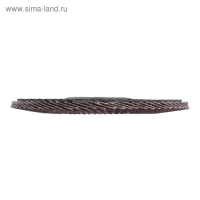 Круг лепестковый торцевой конический ЛОМ, 125 х 22 мм, Р80