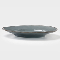 Тарелка Magistro "Alpine Frost" 27см 27,4х27,1х3,5 цвет синий