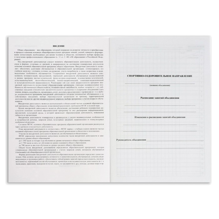 Журнал учета внеурочной деятельности в образовательной организации А4, 32 листа