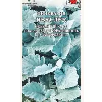 Семена Цинерария Нью Лук /Сотка/ 10шт/ гранулы h-30см Benary/*500