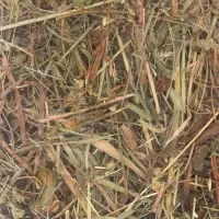 Сено луговое для грызунов и кроликов, 15л, серия LITTLE VILLAGE