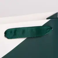 Пакет подарочный новогодний ламинированный &laquo;Чудес в Новом году&raquo;, MS 18 х 23 х 10 см