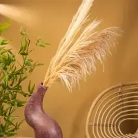 Ваза терракота "Рог" 25х20х45 см