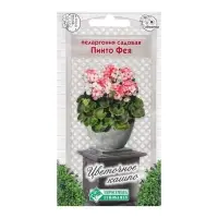 Семена Пеларгония садовая "Пинто Фея",  3 шт