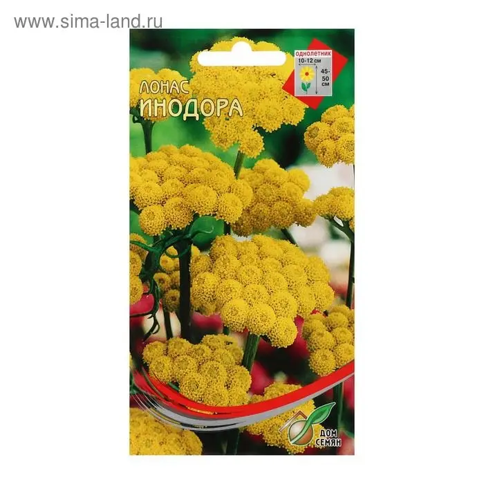 Семена цветов Лонас "Инодора", 100 шт