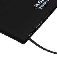 Дневник школьный 1-11 класс, deVENTE. 99% CRAZY&raquo;, искусственная кожа, шелкография