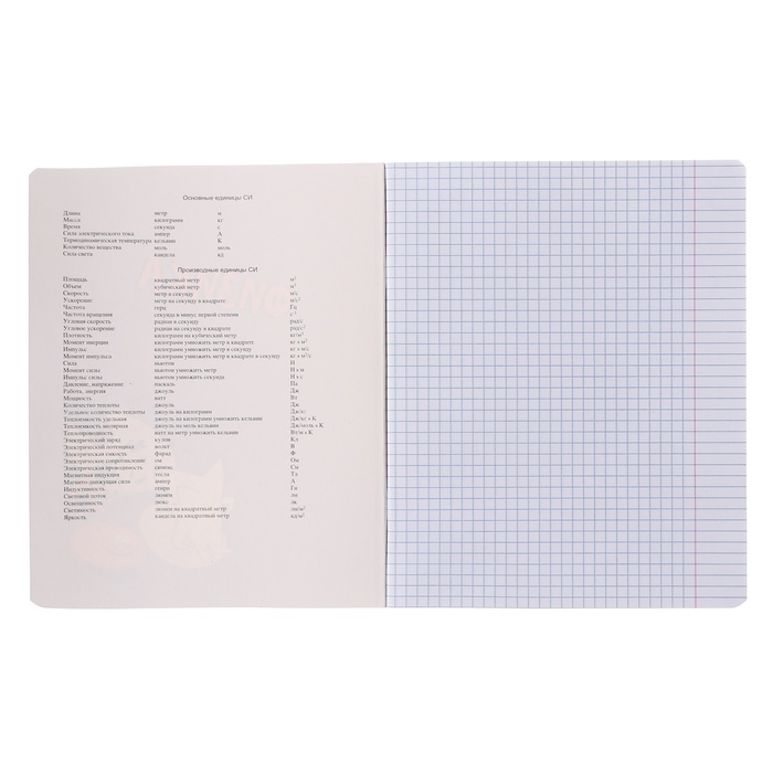 Тетрадь предметная "Пёс и Кот" 48 листов в клетку "Физика", обложка мелованный картон, металлизированная краска, ВД-лак, блок офсет