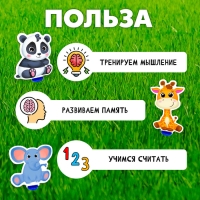 Развивающий набор &laquo;Всё по местам&raquo;, 16 карточек, 10 заданий, 3+