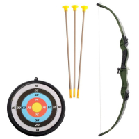 Лук &laquo;Меткий стрелок&raquo;, с мишенью и стрелами на присосках