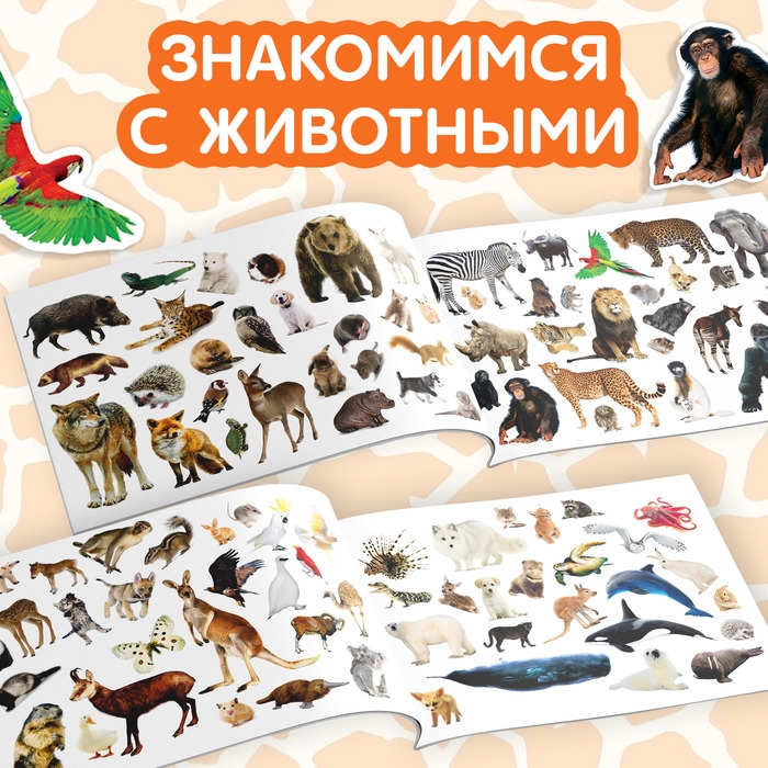 100 наклеек &laquo;Животные со всего света&raquo;, 12 стр.