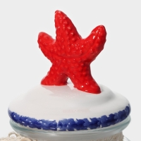 Банка стеклянная для хранения сыпучих продуктов Доляна &laquo;Морская звезда&raquo;, 600 мл, 11&times;19 см, с керамической крышкой