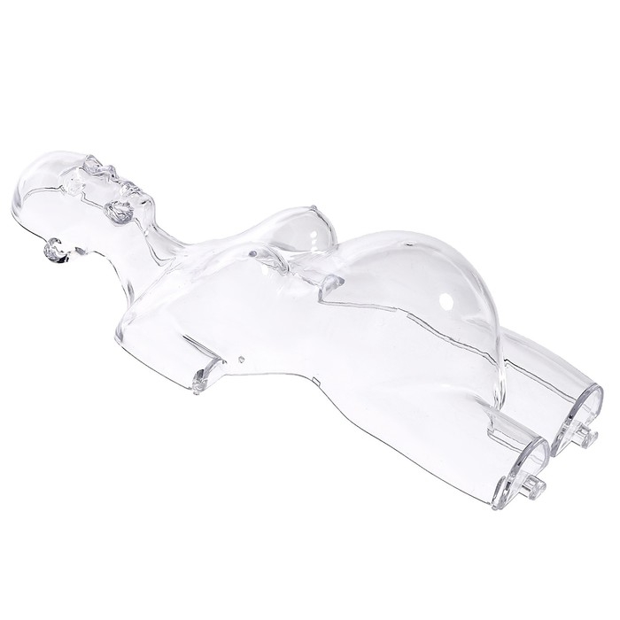 Набор для опытов &laquo;Строение тела&raquo;, беременная женщина