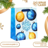 Пакет ламинированный &laquo;Шары&raquo;, MS 18 &times; 23 &times; 10 см