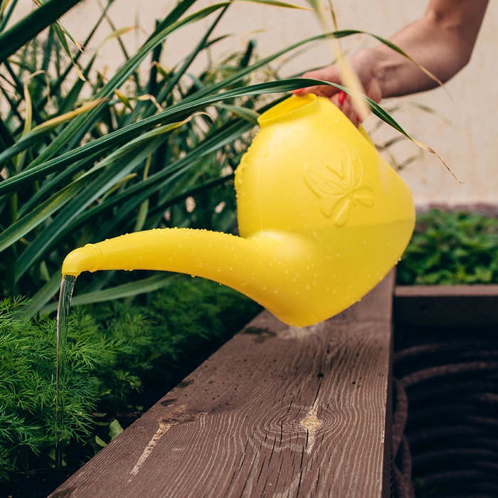 Лейка, 3 л, без рассеивателя, цвет МИКС