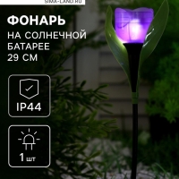 Садовый светильник на солнечной батарее &laquo;Тюльпан фиолетовый&raquo;, 4.5&times;29&times;4.5 см, 1 LED, свечение белое