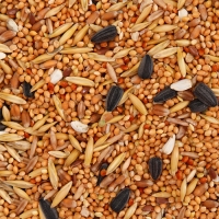 Корм "Пижон" для волнистых попугаев, с орехами, 500 г