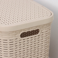 Корзина бельевая с крышкой &laquo;Ротанг&raquo;, 40 л, 37&times;29,5&times;48 см, цвет латте