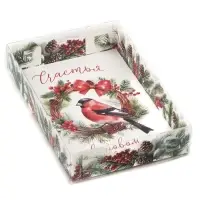 Коробка для макарун &laquo;Счастье в Новом Году!&raquo;, 18 х 12 х 3.5 см