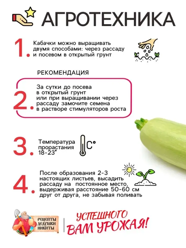 Семена Кабачок белоплодный "Грабовский", 0,5 г