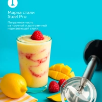 Кухонный погружной блендер измельчитель 4в1 SC-HB42M47