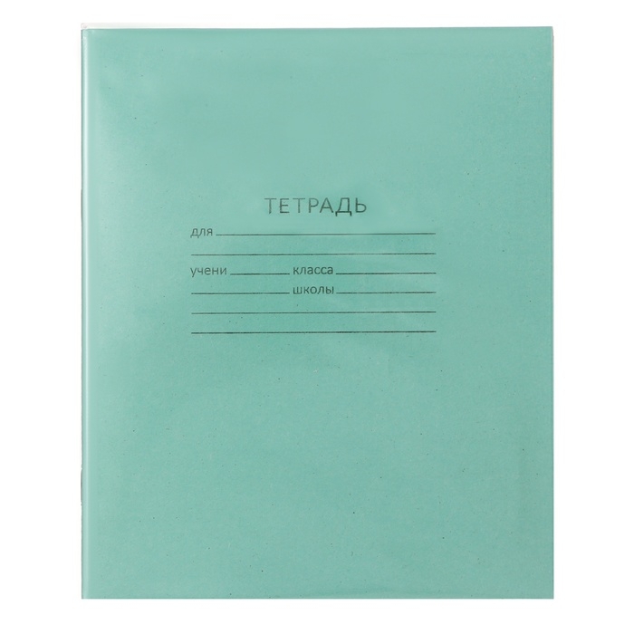 Комплект тетрадей из 20 штук, 24 листа в клетку КПК "Зелёная обложка", 60 г/м2, блок №2, белизна 75% (серые листы)