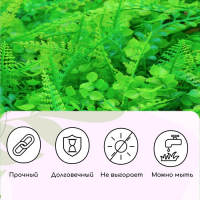 Декоративная панель, 60 &times; 40 см, &laquo;Самшит, Папоротник&raquo;, Greengo