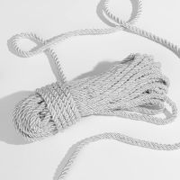 Шнур витой, d = 5 мм, 10 &plusmn; 1 м, цвет серебряный