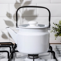 Чайник без деколи, 2 л, индукция, цвет белый