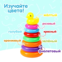 Пирамидка &laquo;Уточка&raquo;, 7 колец