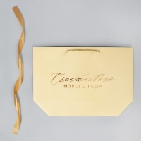 Пакет подарочный новогодний &laquo;Lucky present&raquo;, 26 х 25 х 11 см, Новый год