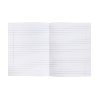 Тетрадь 48 листов в линию &laquo;Искусство Азии&raquo; ЛИТЕРАТУРА, пластиковая обложка с печатью, тиснение фольгой, с интерактивным справочником, блок оф...