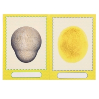 Сделай своего чудика &laquo;Маня Ми&raquo;