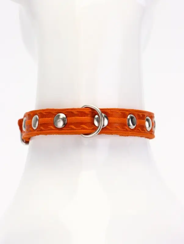 Ошейник кожаный однослойный украшенный, 1,2 см, ОШ 20-26 см микс цветов