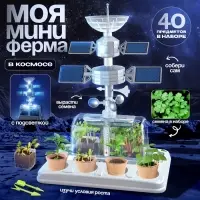 Набор для опытов &laquo;Моя мини-ферма&raquo;, выращивание растений, в космосе