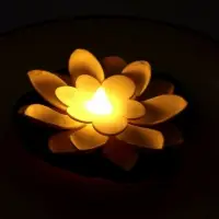 Садовый светильник для водоемов 10 х 13 х 15 см, на батарейке "Лотос" белый СК-004