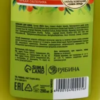 Бальзам для волос облепиха, 250 мл