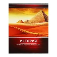 Тетрадь предметная Calligrata &laquo;Металл&raquo;, 48 листов в клетку История, со справочным материалом, обложка мелованный картон, блок №2, белизна 75% (серые листы)