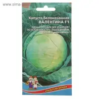 Семена Капуста белокочанная "Валентина F1" поздний,кочан 3,5-5 кг,очень плотный 0,1 г