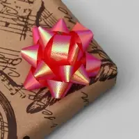 Бант-звезда №5 (ФАСОВКА 50 ШТ), МИКС