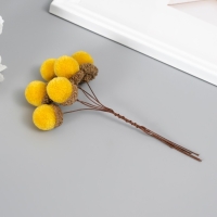 Цветы для декорирования "Хлопчик" жёлтый 1 букет= 6 веточек d=2 см 11 см