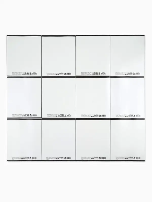 Тетради предметные, 48 л., набор из 12 шт., блок №1 &laquo;Скетчи&raquo;