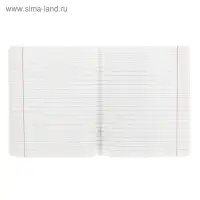 Тетрадь 18 листов линейка &laquo;Великолепная пятёрка&raquo;, бумажная обложка, МИКС