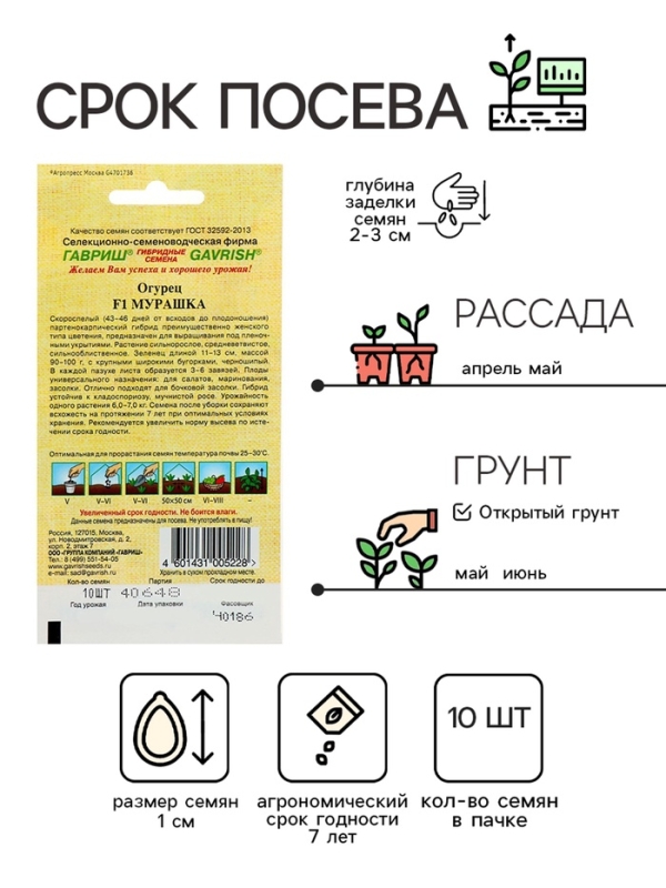 Семена Огурец Мурашка F1, корнишон, скороспелый, партенокарпический, 10 шт.
