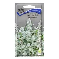 Семена цветов Чистец шерстистый &laquo;Овечьи ушки&raquo;, 0.1 г