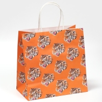 Пакет подарочный, упаковка, &laquo;Самец&raquo;, 22 х 22 х 11 см