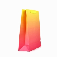 Пакет ламинированный вертикальный Happy Birthday, M 26 х 30 х 9 см