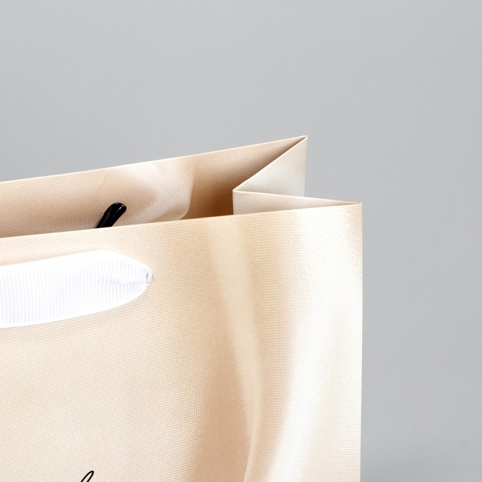 Пакет подарочный, упаковка, &laquo;Present&raquo;, 22 х 17.5 х 8 см