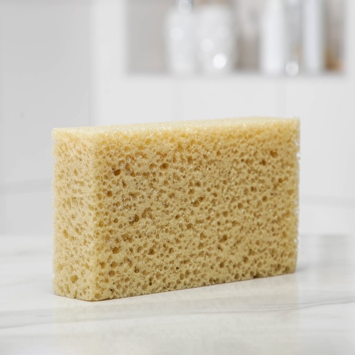 Губка для тела мягкая &laquo;Губка морская&raquo;, 20&times;11,5&times;5 см