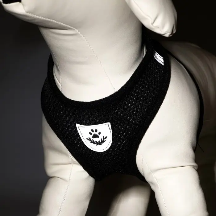 Комплект амуниции с мягкой шлейкой и светоотражающей нашивкой, L, ОШ 33, ОГ 36-48, чёрный